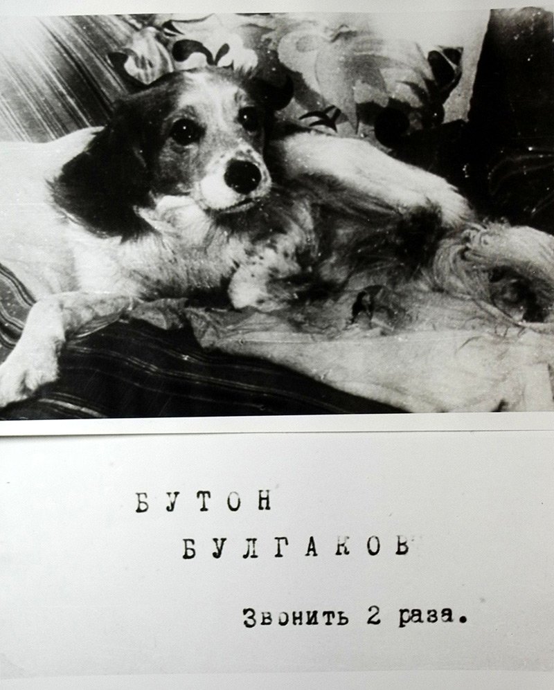 булгаков бутон.jpeg