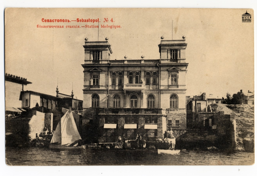 1624392900_16-phonoteka_org-p-chisto-belie-oboi-krasivo-16 (3).jpg