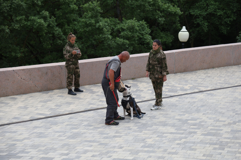 hmxRps1y8X8.jpg hmxRps1y8X8.jpg